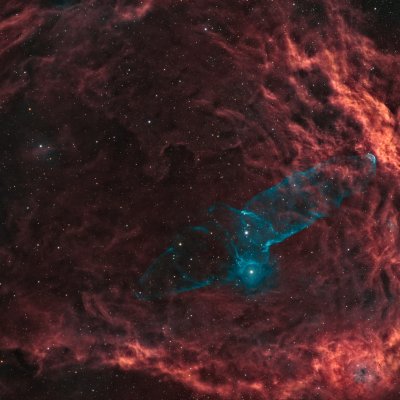 Squid Nebula