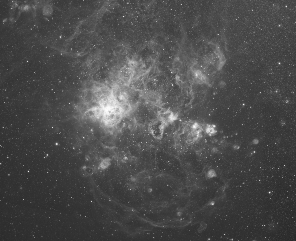 NGC2070 Tarantula Nebula - STF Preview - Svbony 503 ED OT