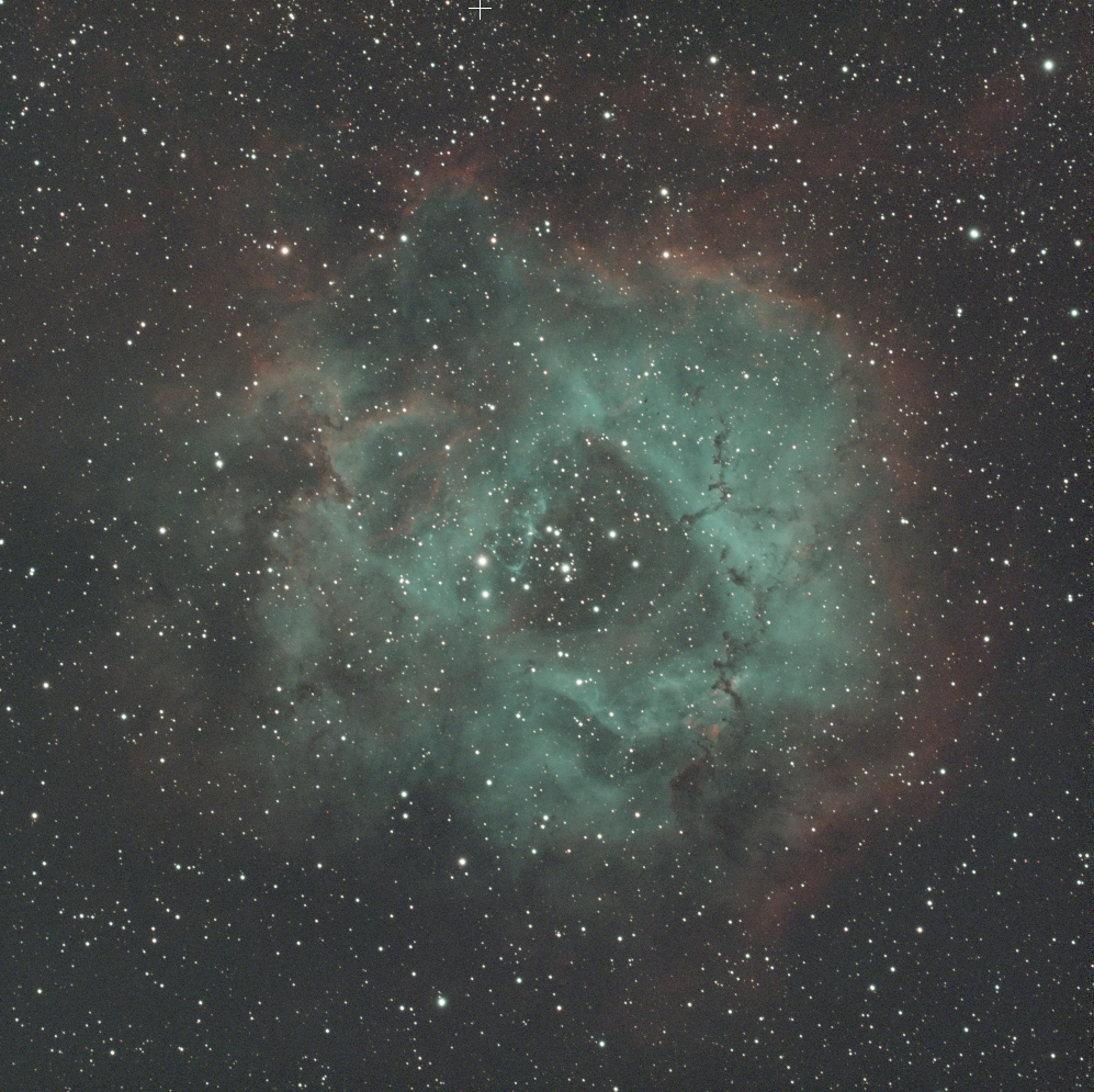 Rosette Nebula - NGC 2237 - STF Preview - askar 71F