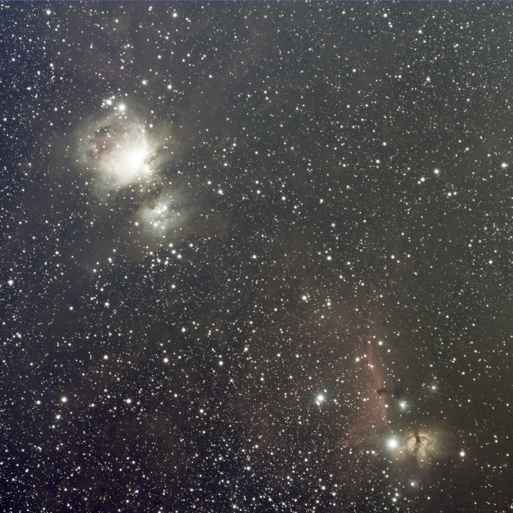 M42 Complex - Horsehead Nebula B33 - STF Preview - Rokinon 135 mm F2.8