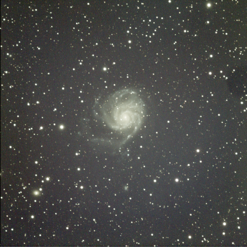 M101 - The Pinwheel Galaxy - STF Preview - Skywatcher Apochromatic refractor AP 80/600 EvoStar ED OTA