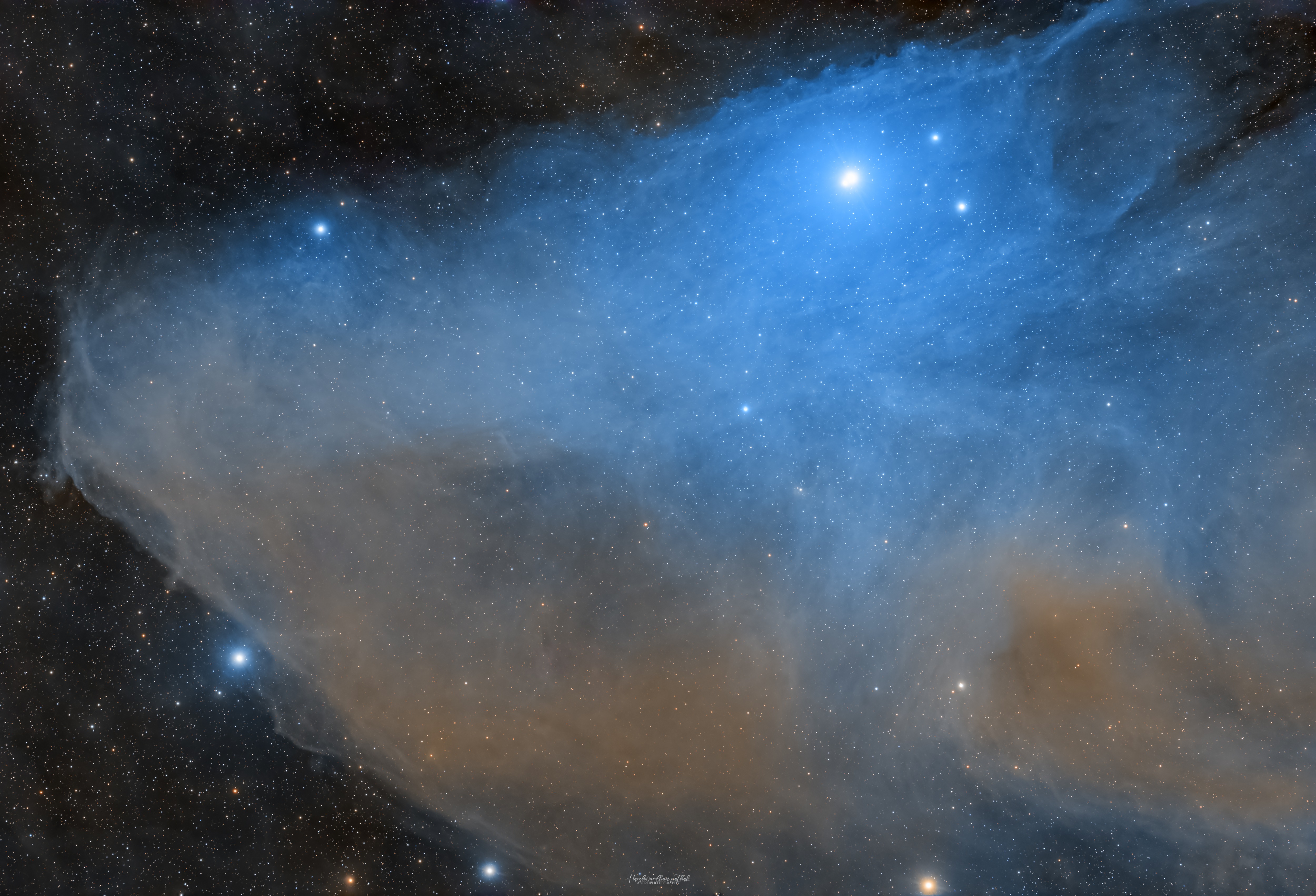 Blue Horsehead Nebula