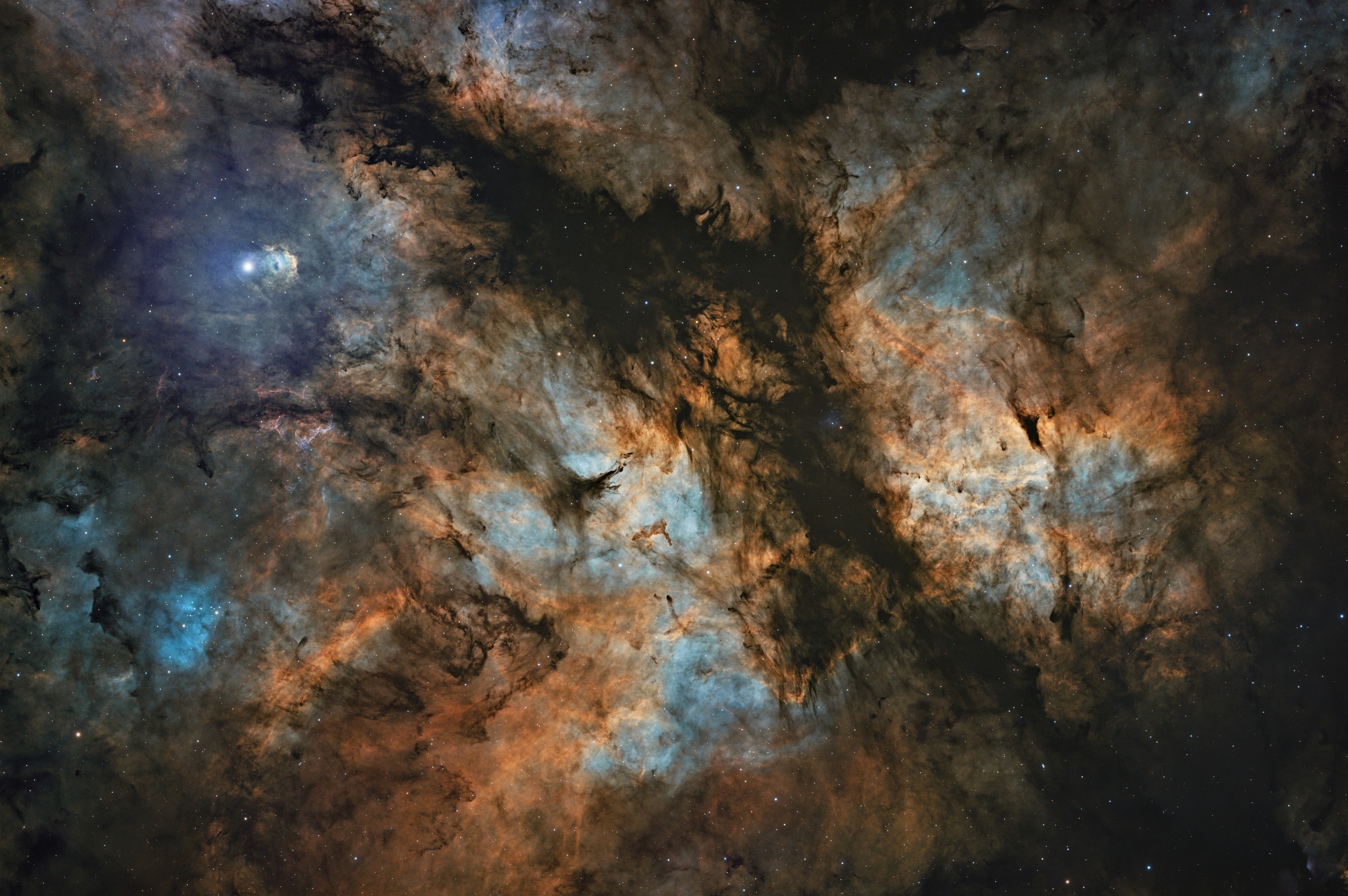 Butterply Nebula