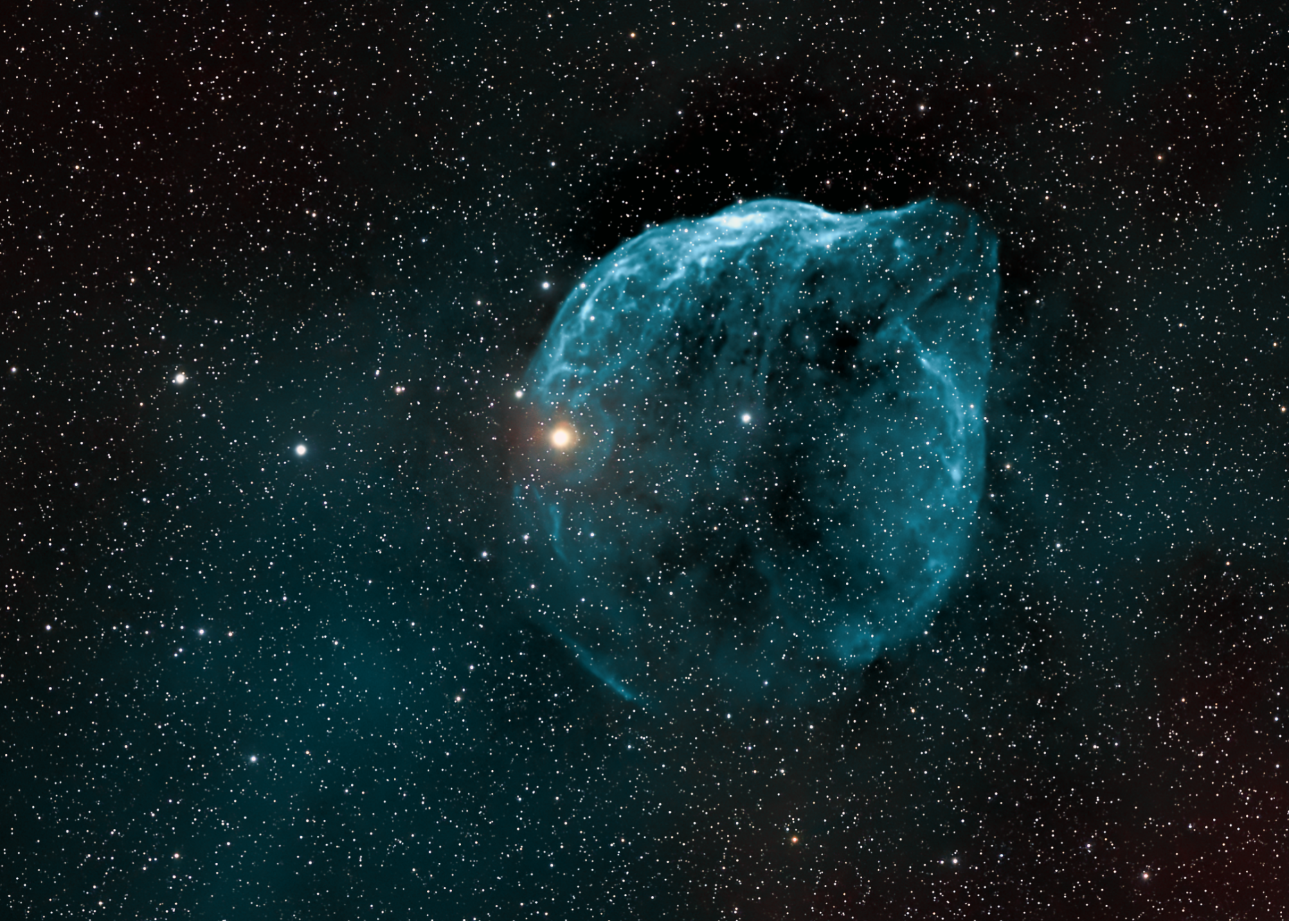 Dolphin Head Nebula SH2-308