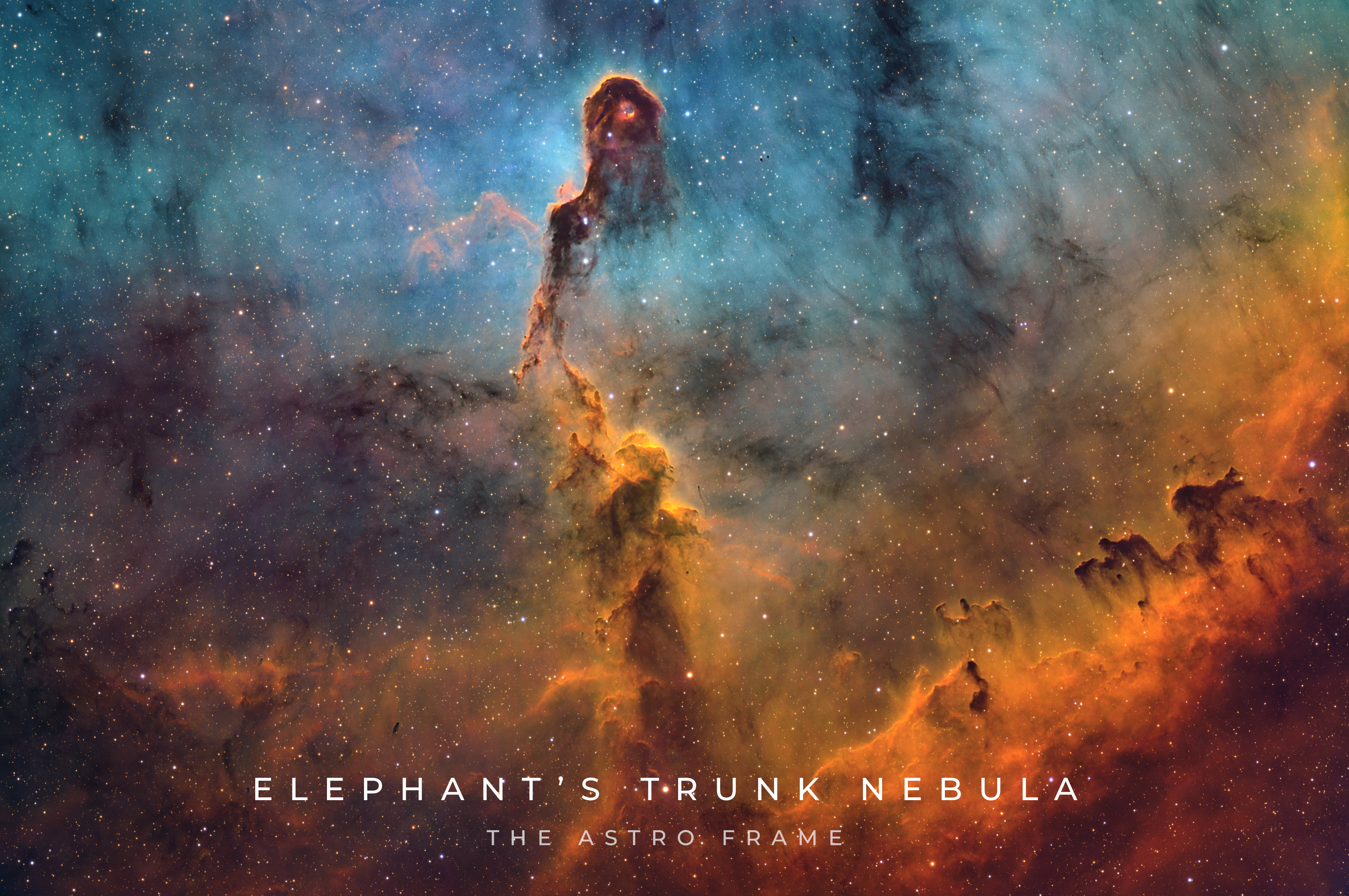 Elephant's Trunk Nebula - IC 1396