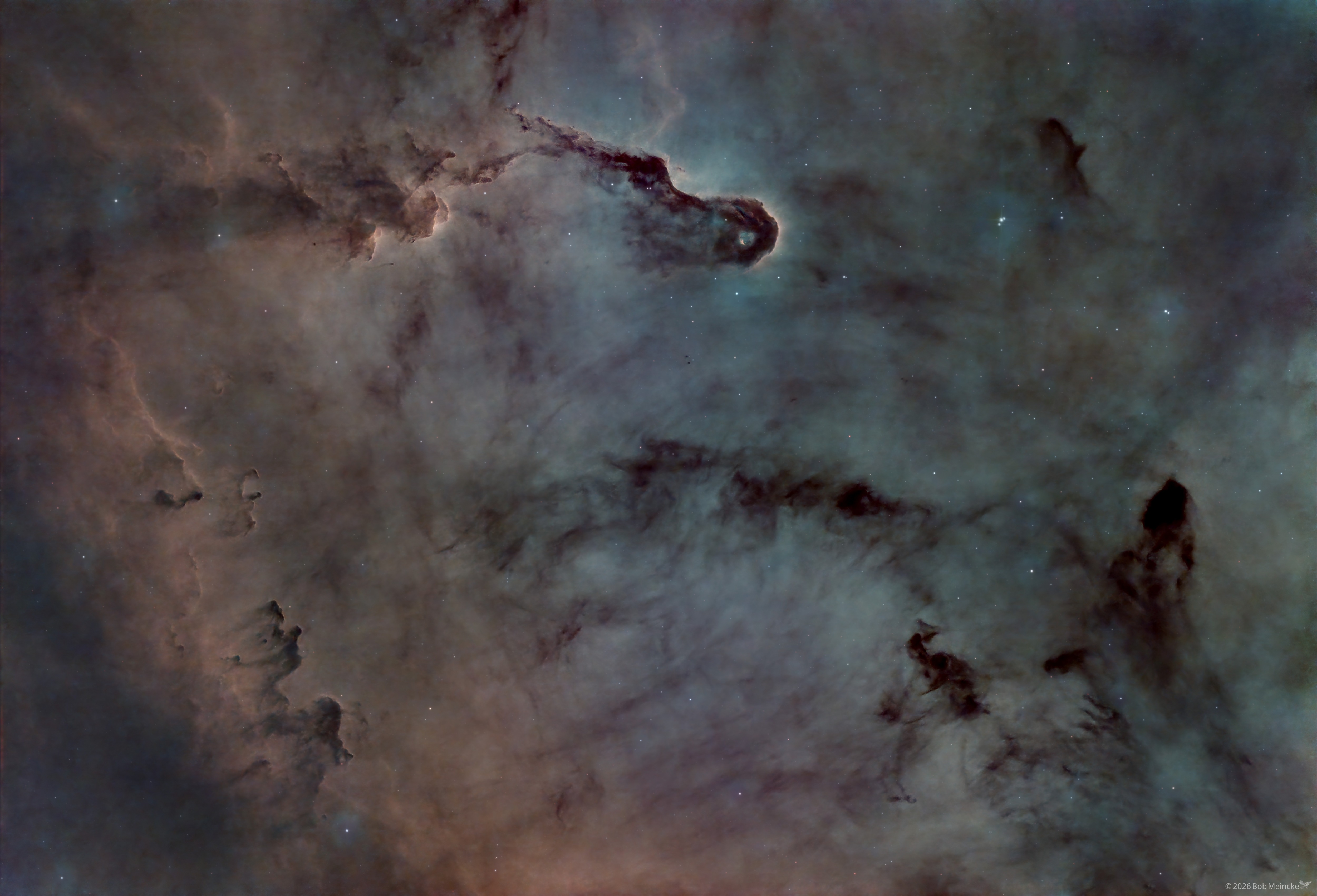 IC 1396 — A New Dragon Emerges from the Mist