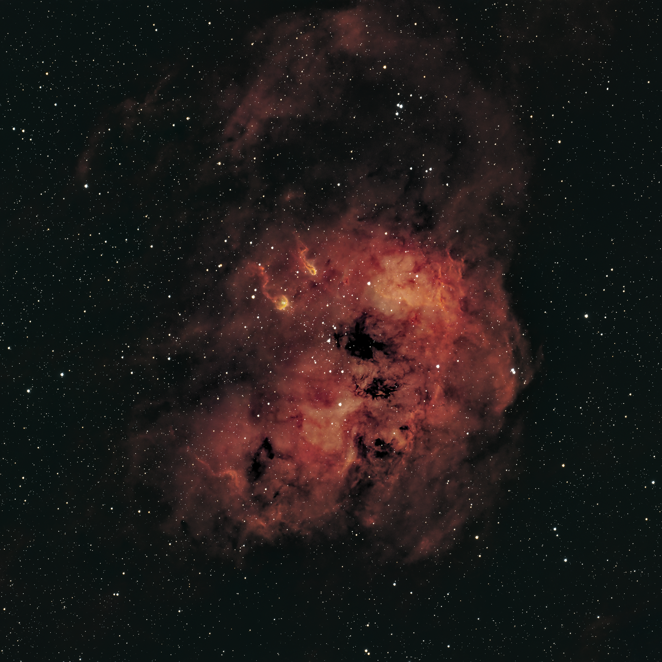IC410 The Tadpole Nebula