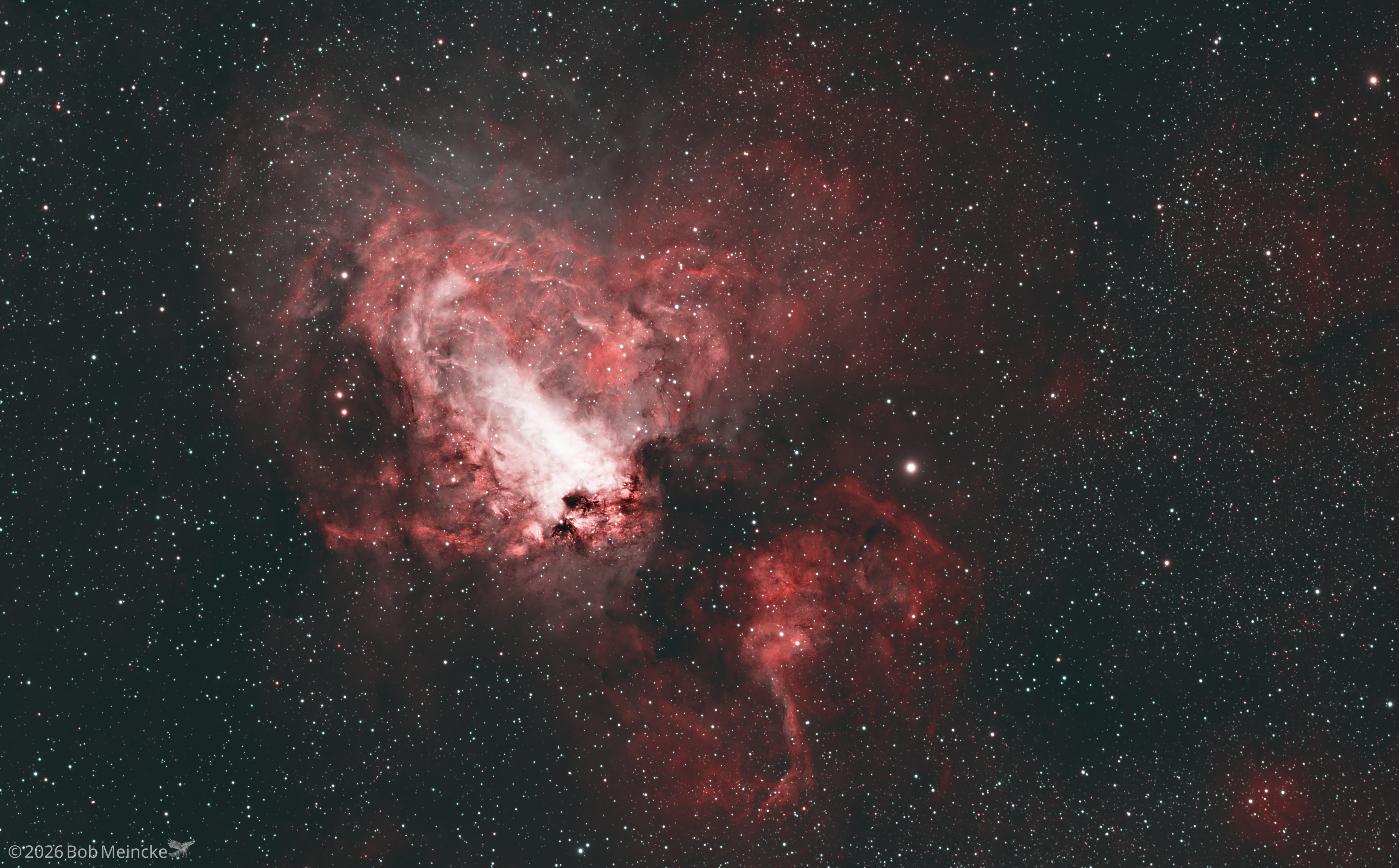 M17 — HOO Are You