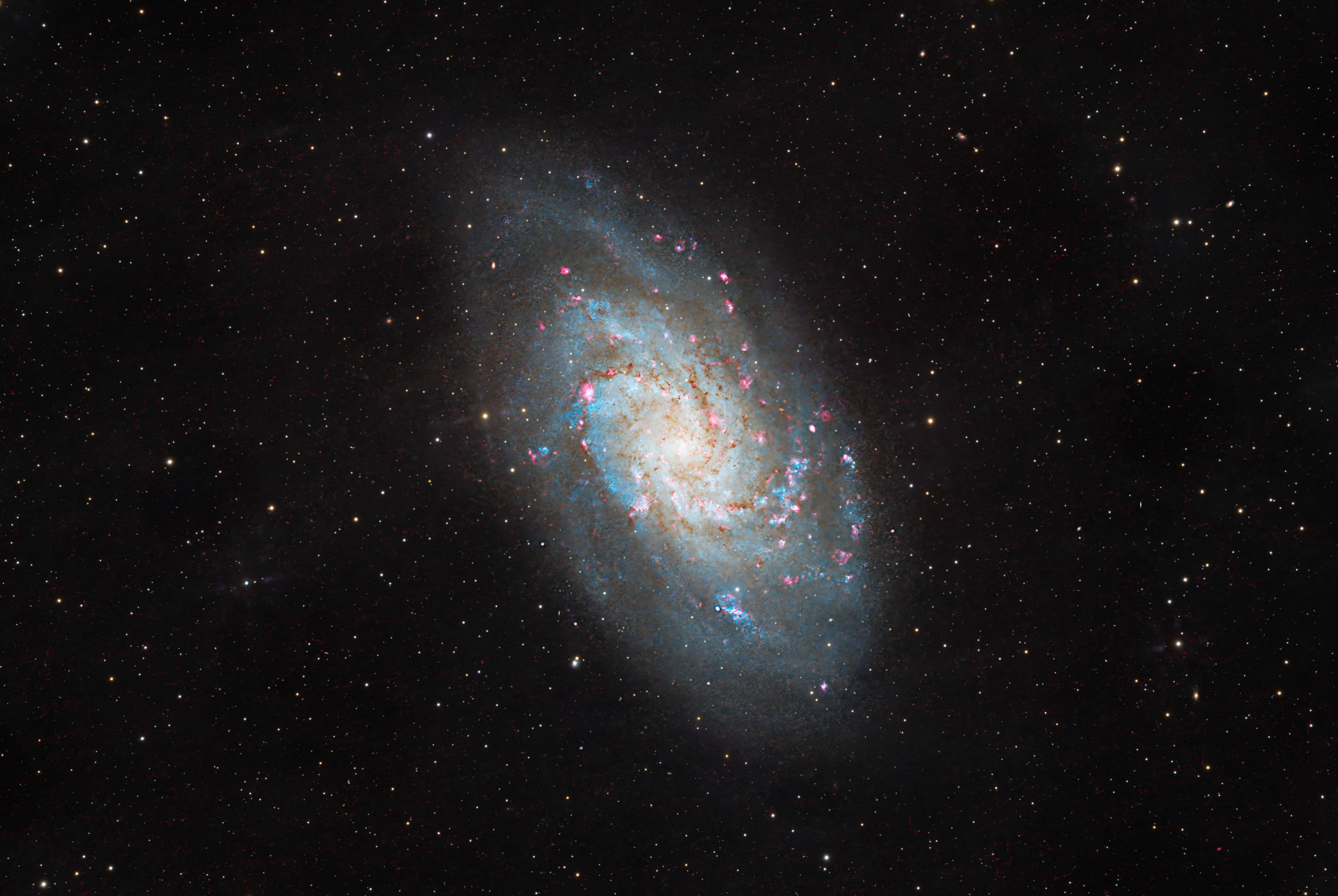 M33