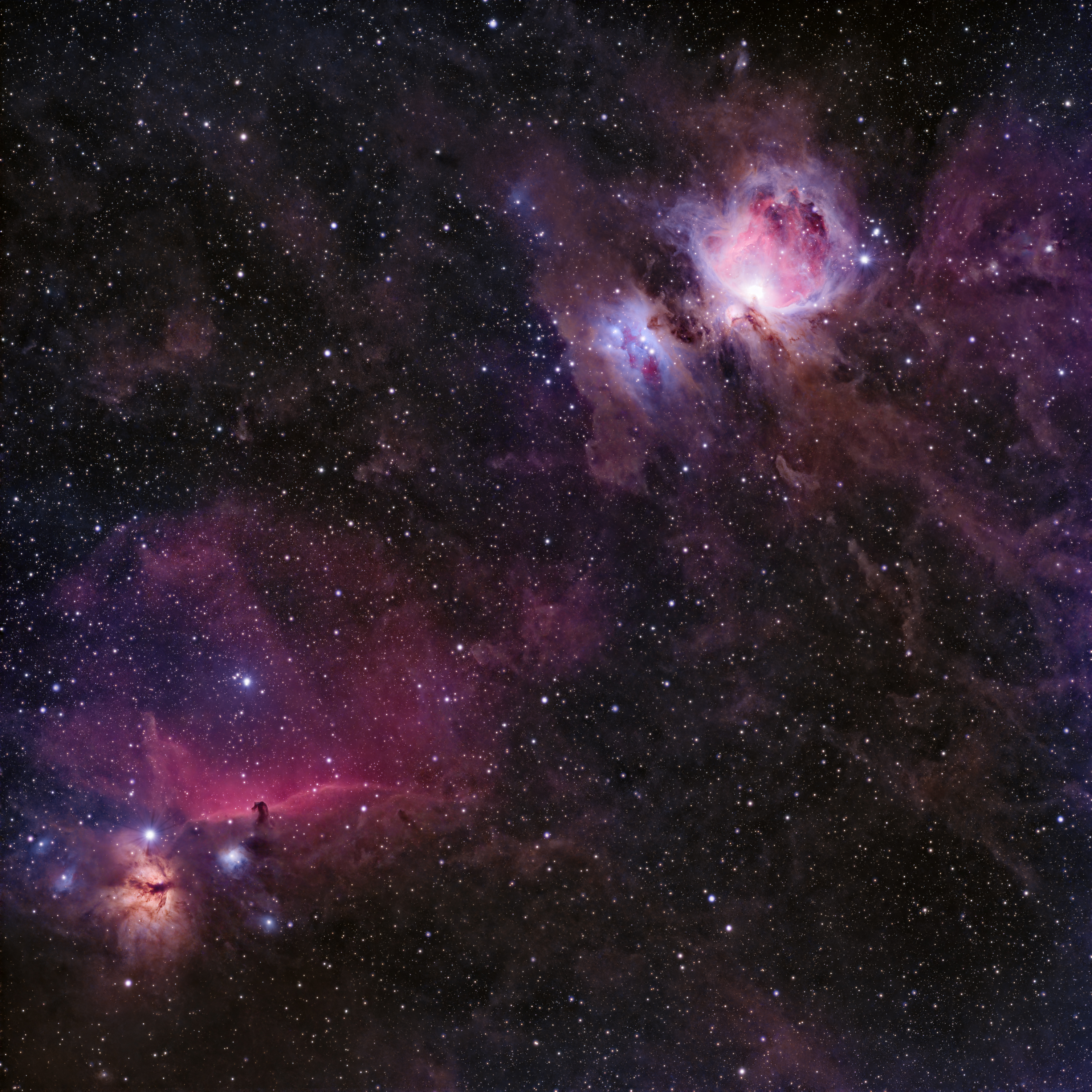 M42 Complex