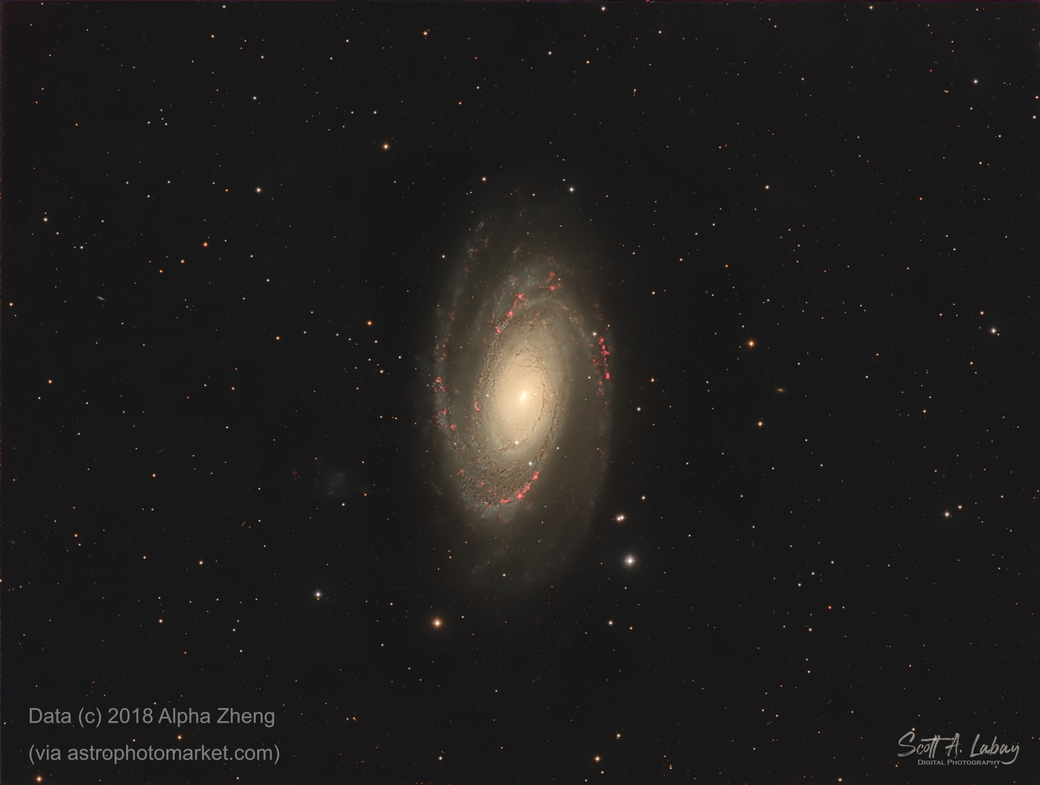M81 HaRGB
