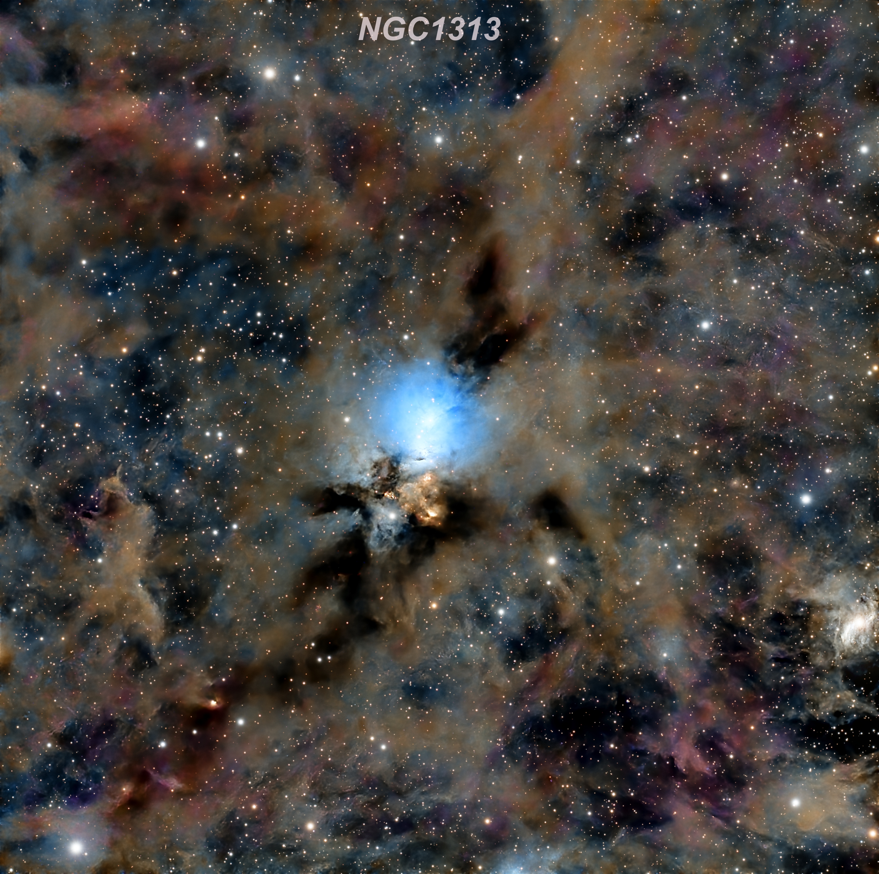 NGC1313