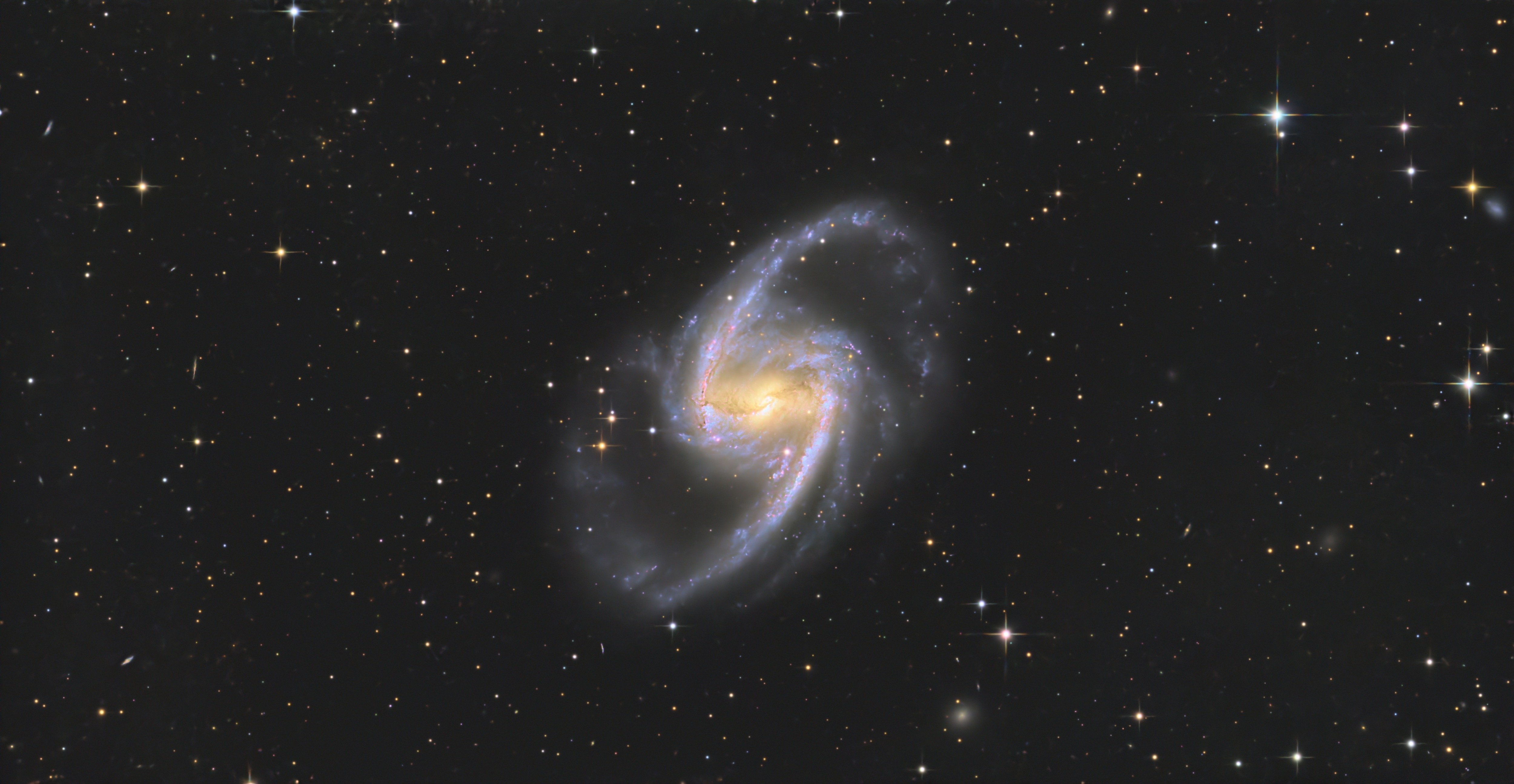 NGC1365