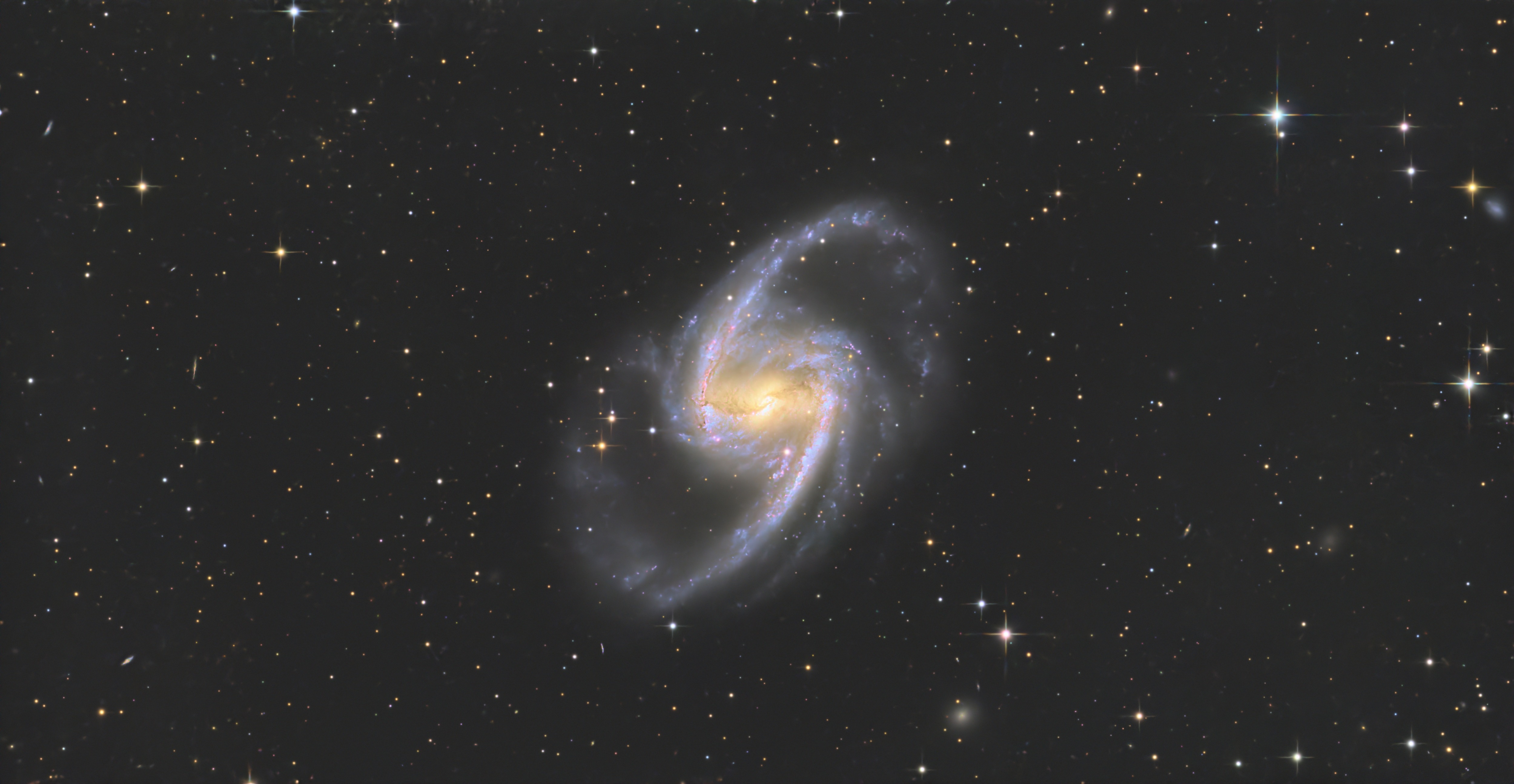 NGC1365