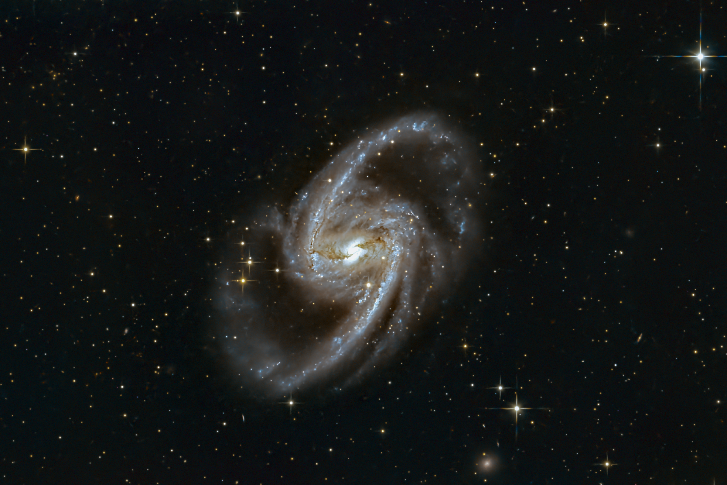 NGC1365