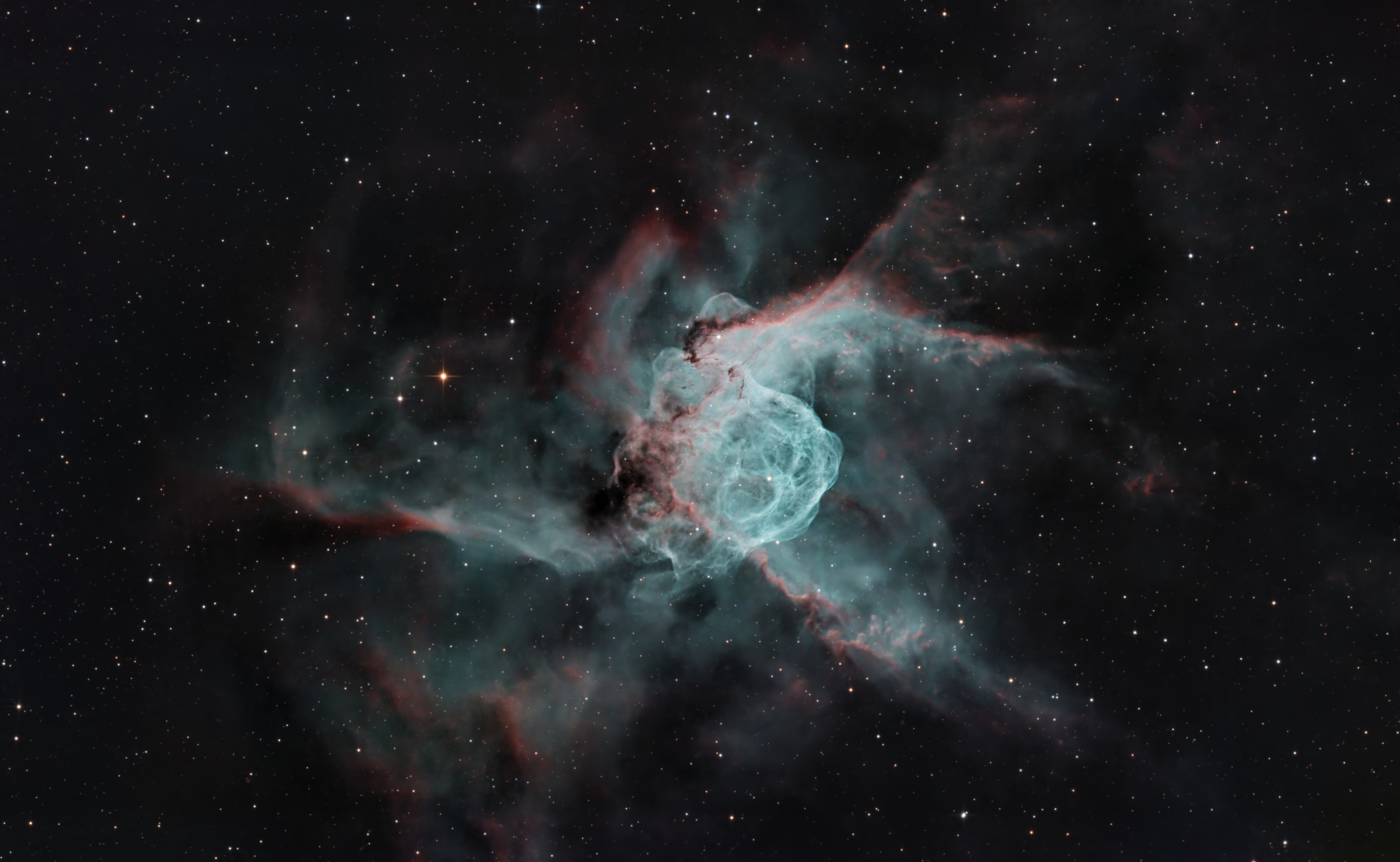 NGC2361  (c) Wade Tubman, processed by Cyril NOGER