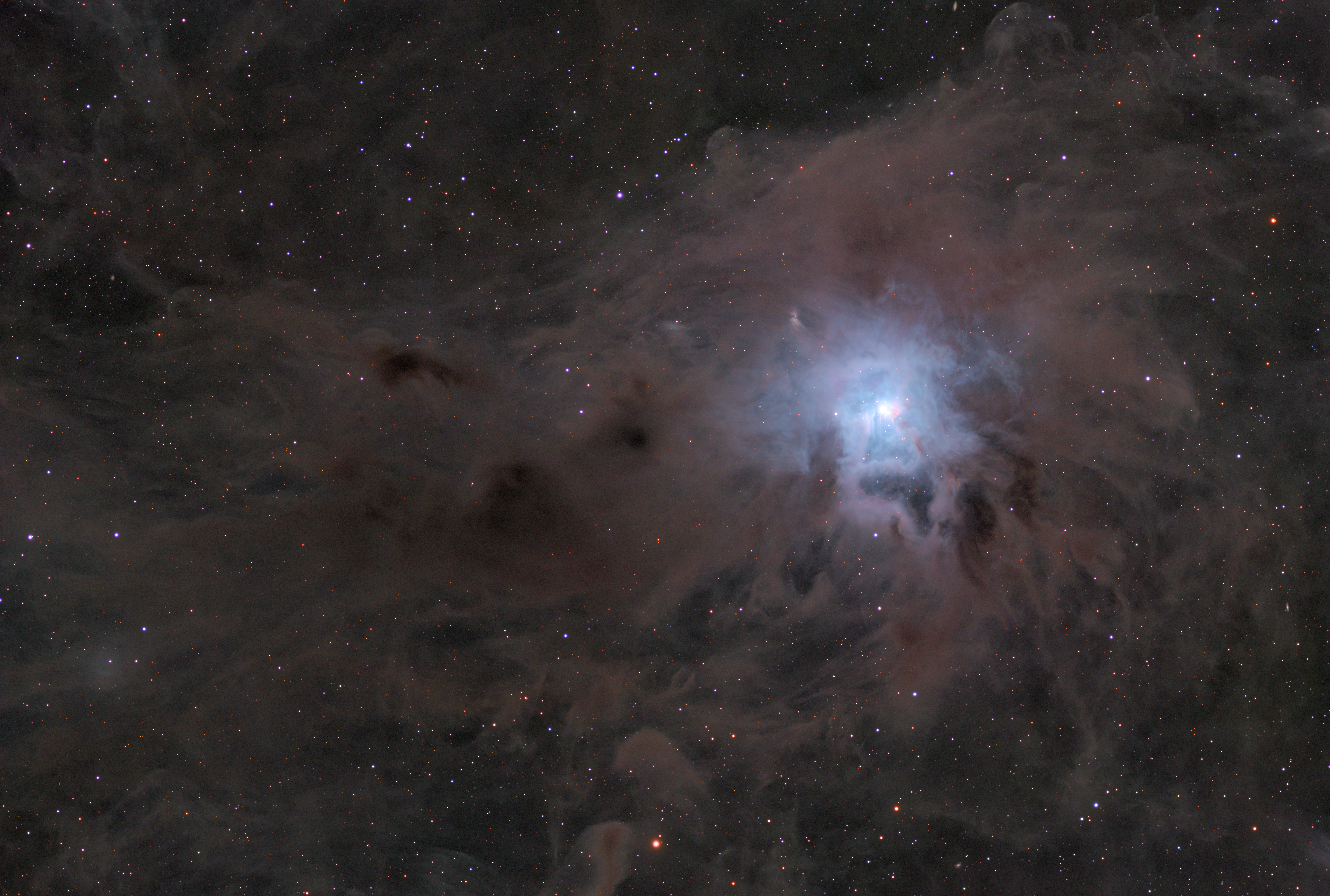 NGC7023 - Iris Nebula