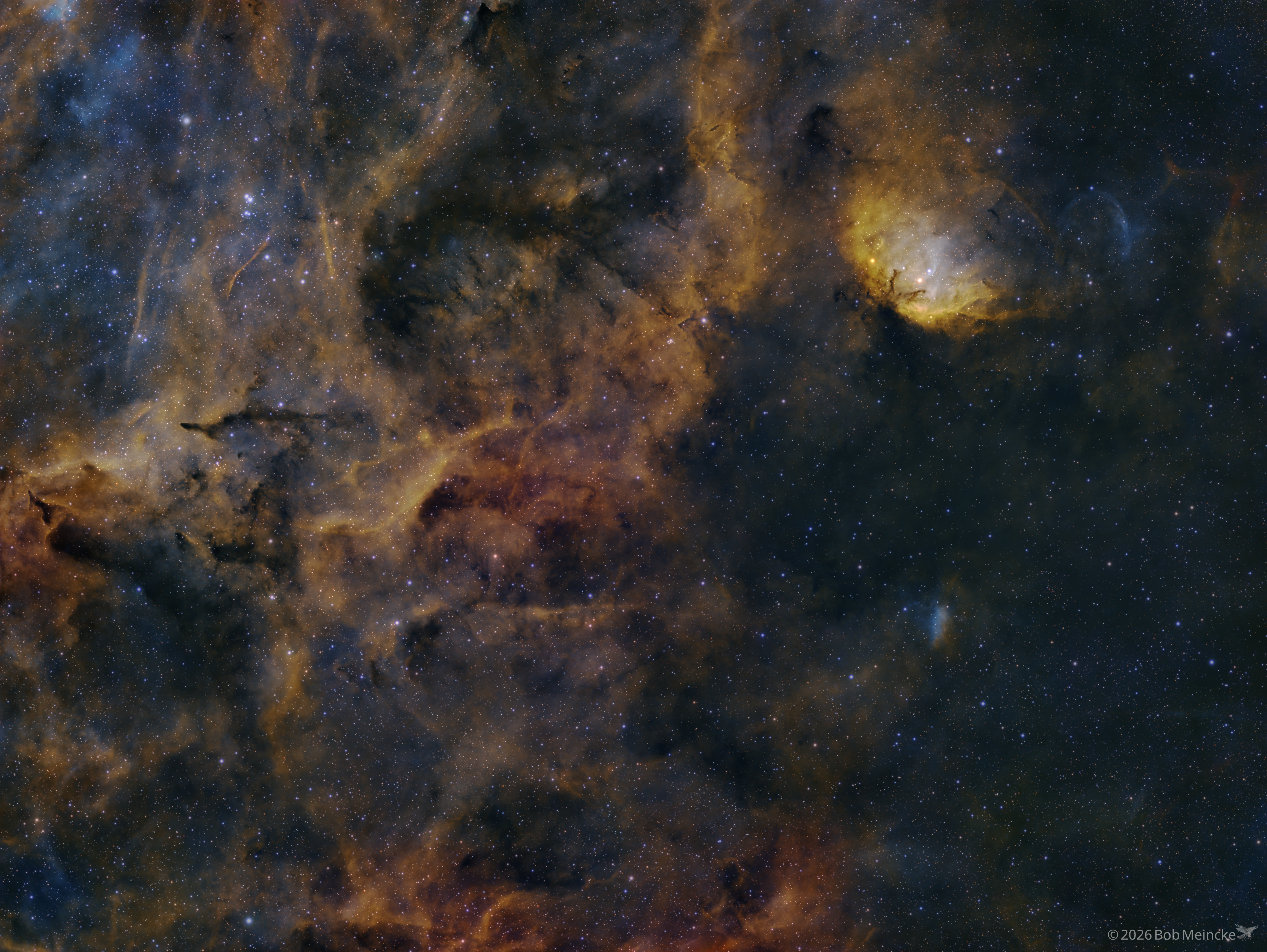 SH2-101 — A Tulip Amongst the Chaos