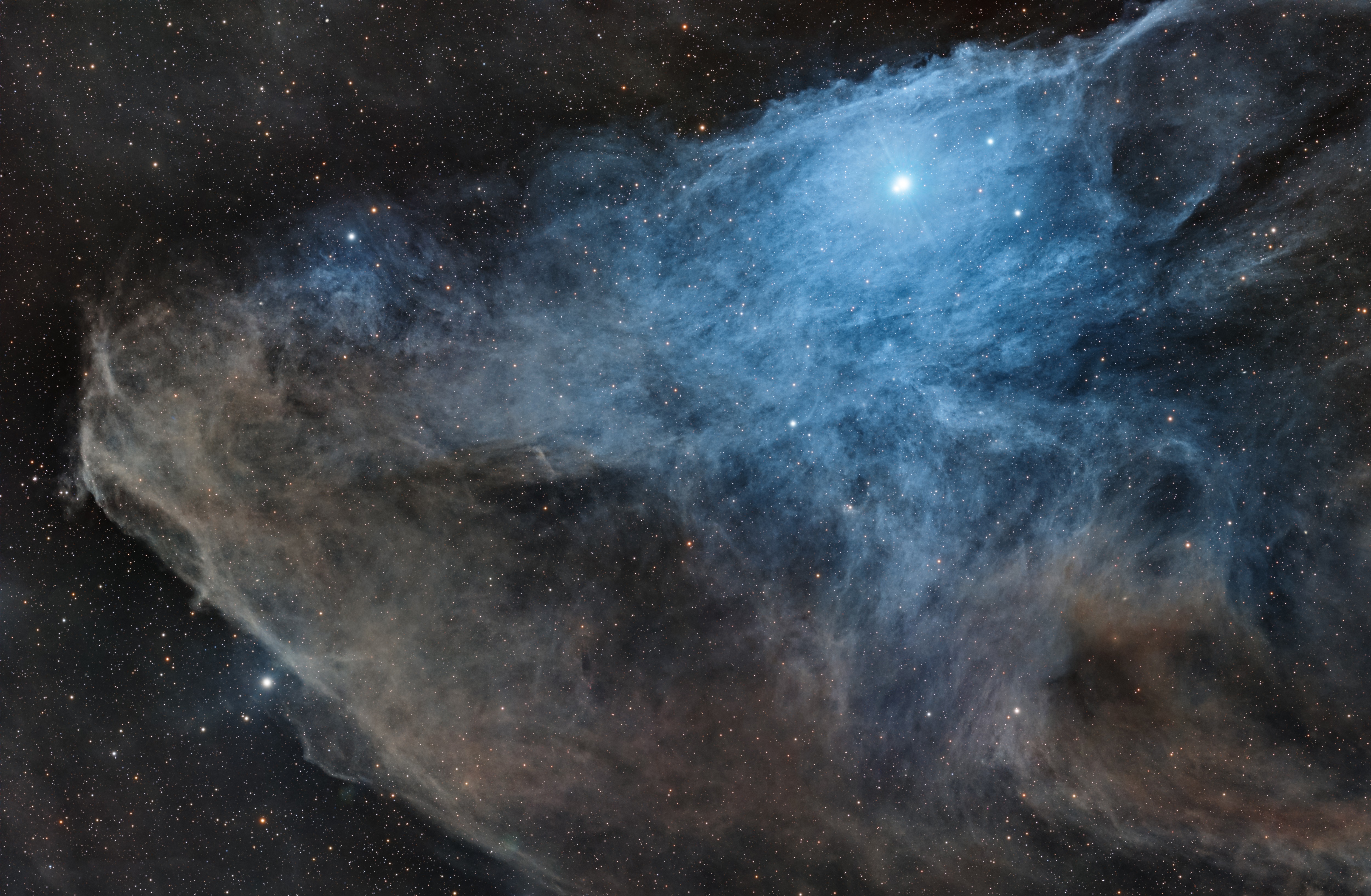 The Blue Horsehead of Scorpius