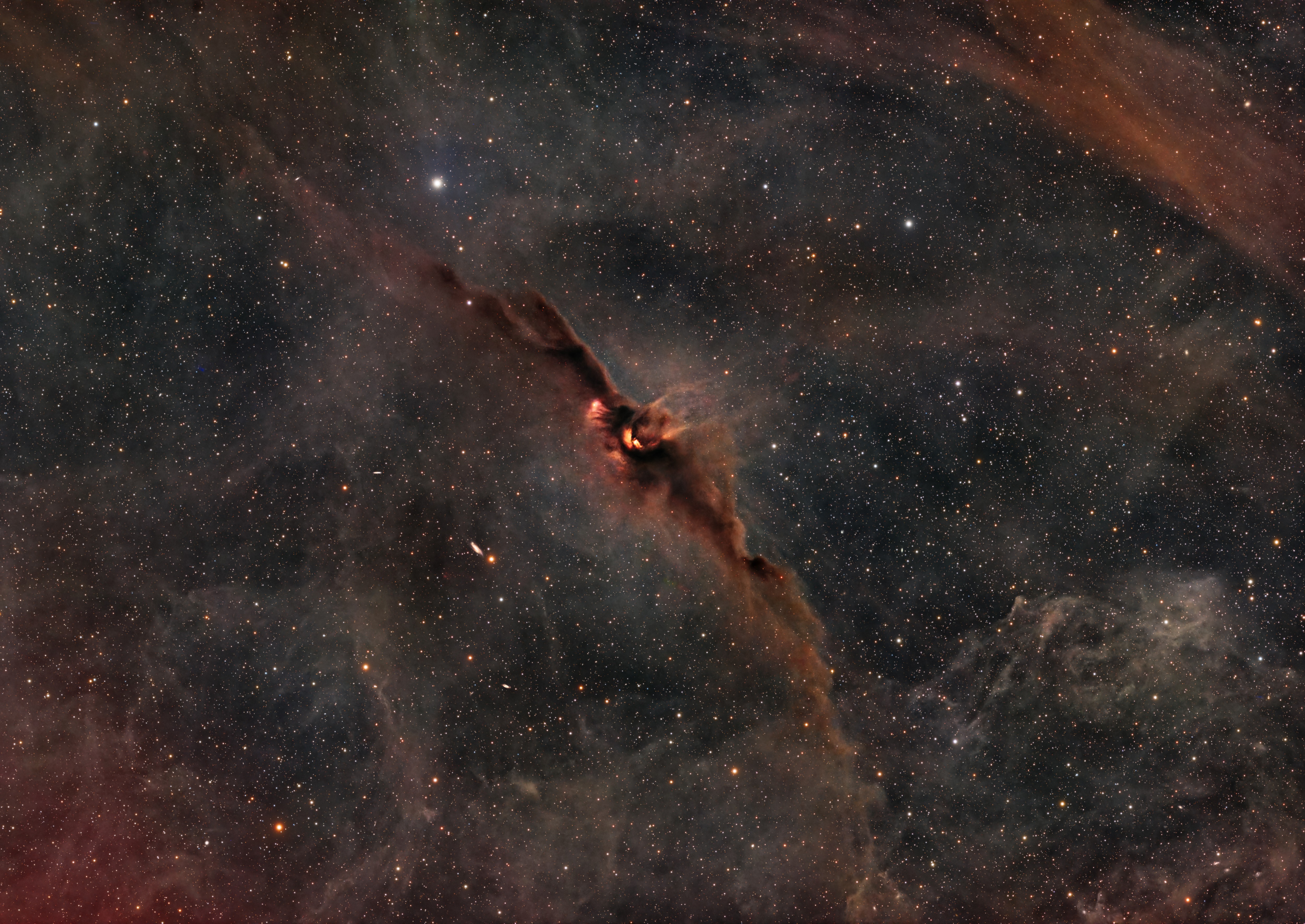 The Cosmic Bat