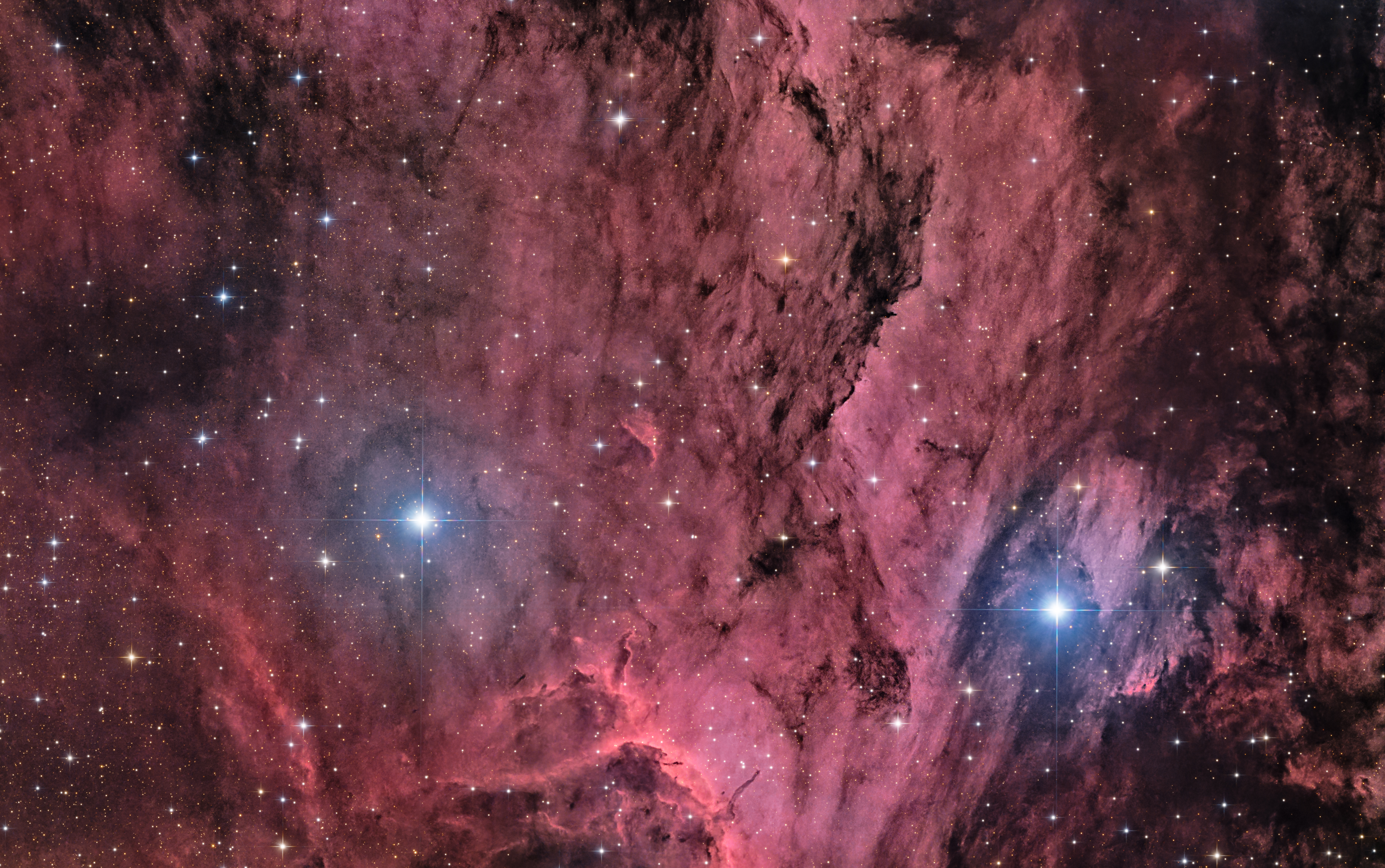 The Pelican Nebula