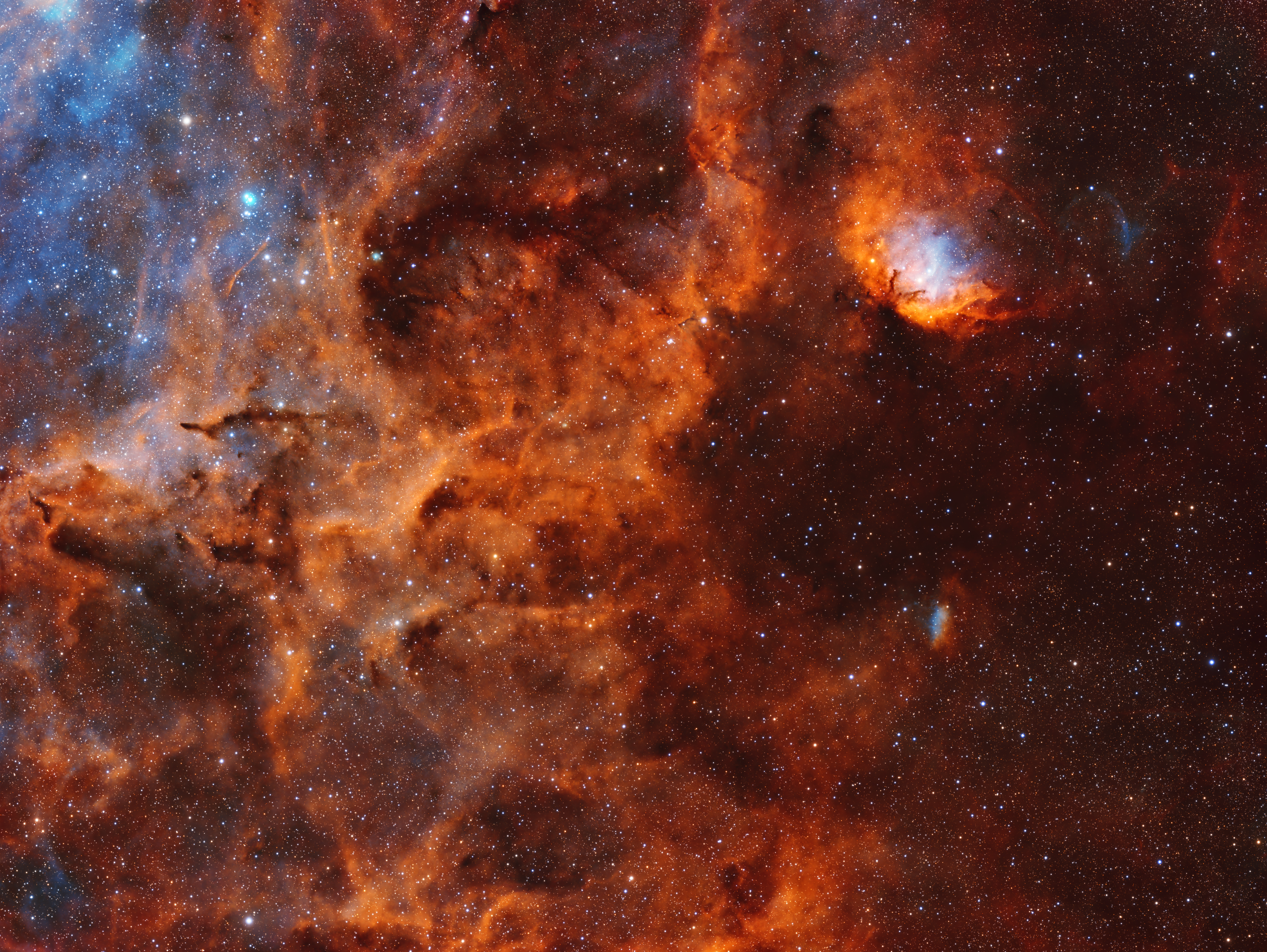 Tulip Nebula (Sh 2-101)
