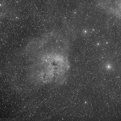 IC 410 - The Tadpoles