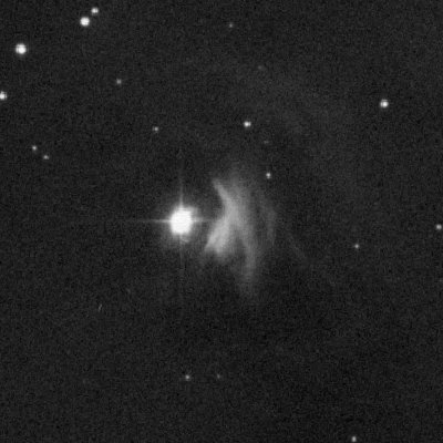 NGC 1555 - Hind's Nebula